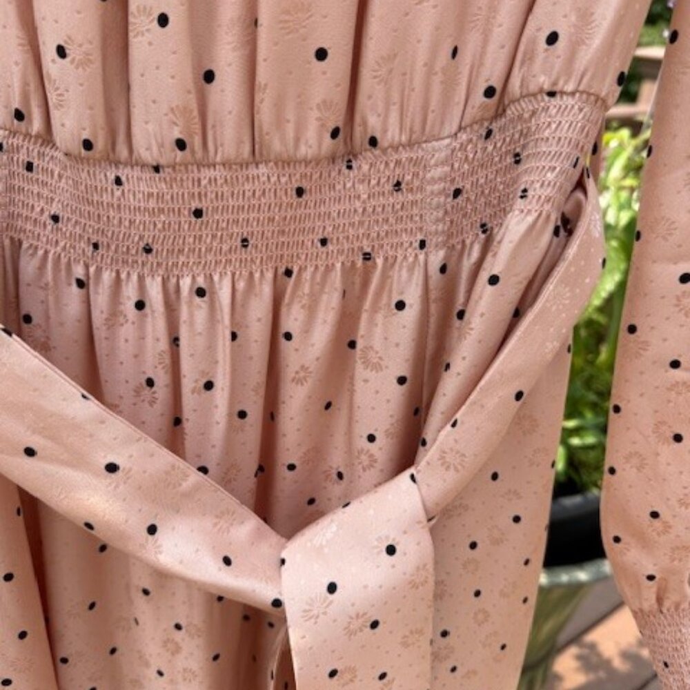 Sezane Justine Silk L/S Midi Dress - Picture 6 of 6